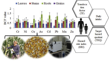 Toxicity assessment of heavy metals translocation in maize grown in the Ganges delta floodplain soils around the Payra power plant in Bangladesh